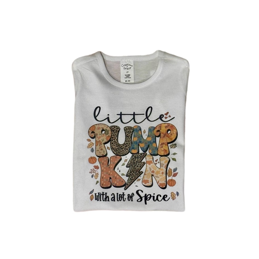NWT Sage and Serenity Vinyl Toddlers Hi-Lo Fall T-Shirt - 2T
